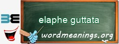 WordMeaning blackboard for elaphe guttata